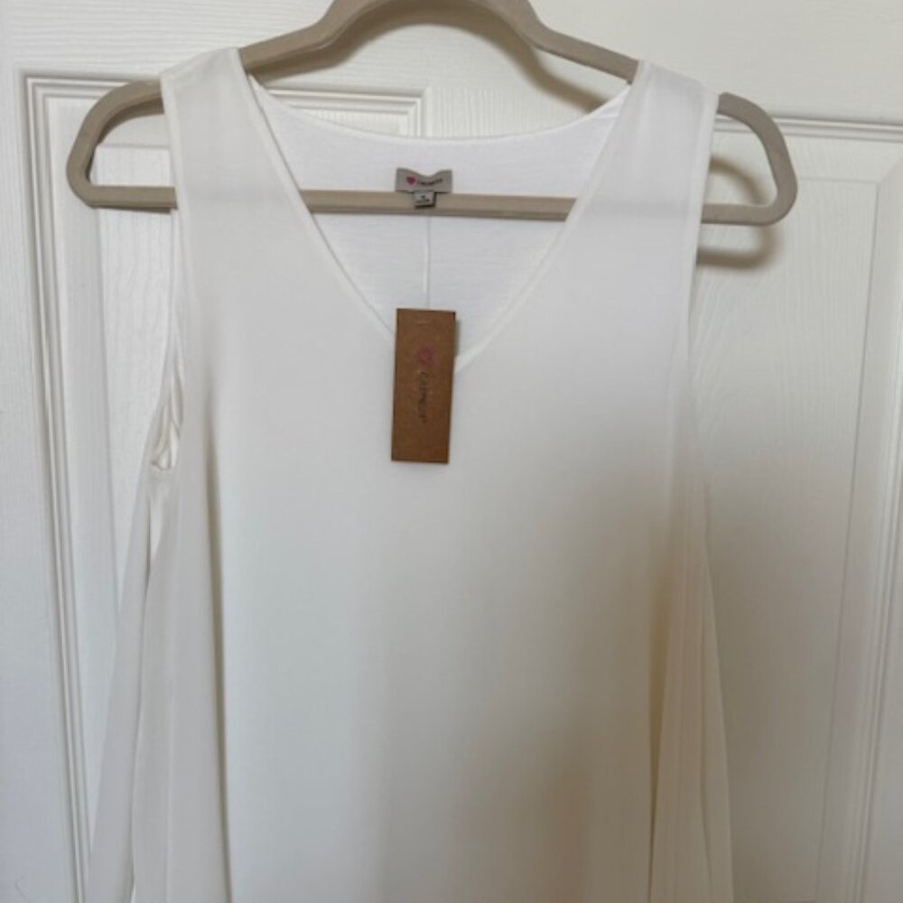 Cremieux V-shaped blouse (NWT) Size Small